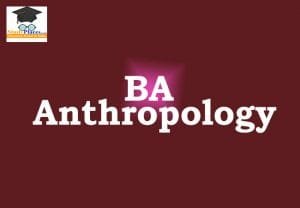 BA in Anthropology