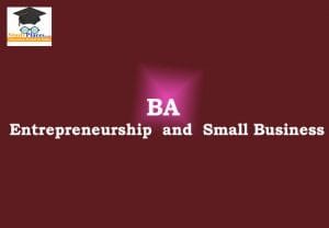 BA in Entrepreneurship and Small Business