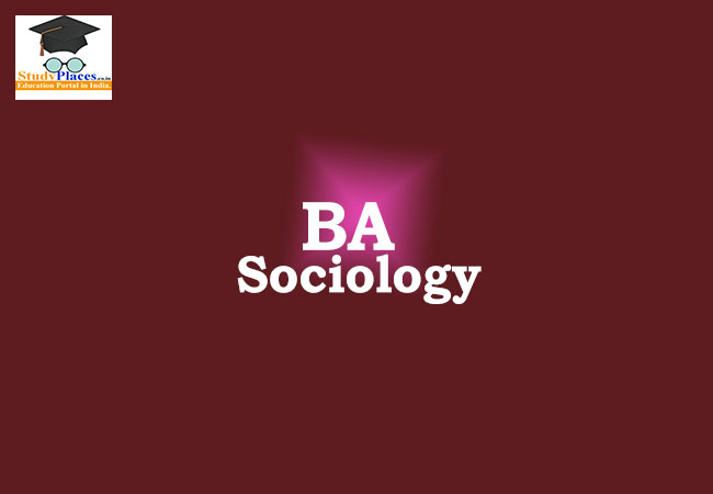 BA in Sociology