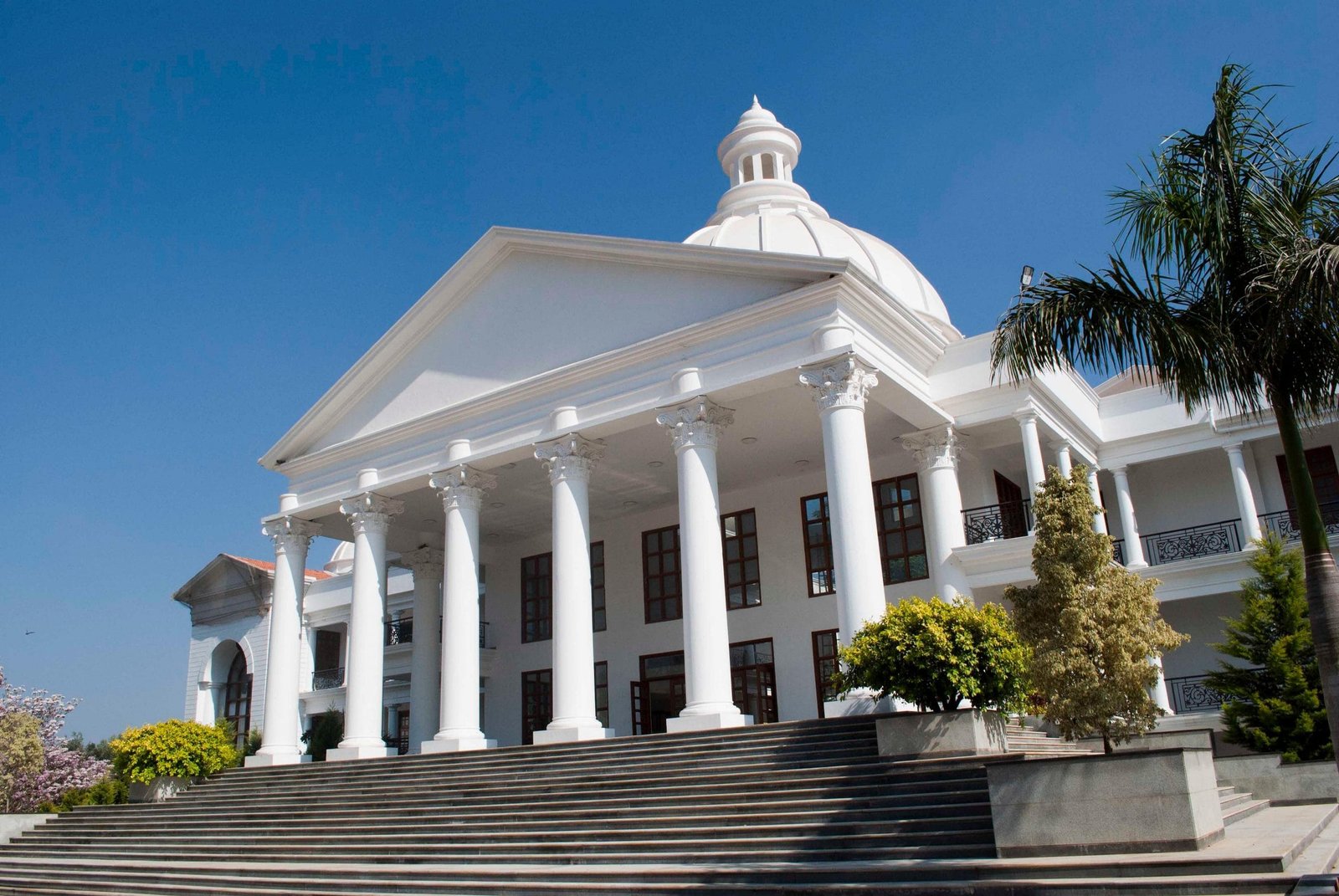 alliance university