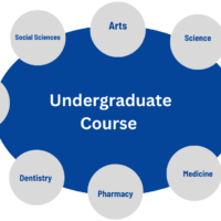 Undergraduate courses in India