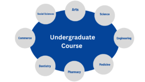 Undergraduate courses in India