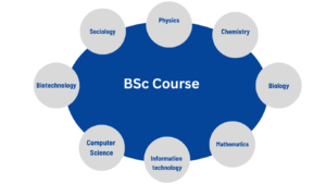 B.sc course