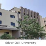 Silver Oak University