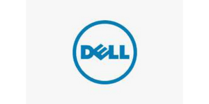 dell iibs