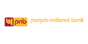 pnb iibs